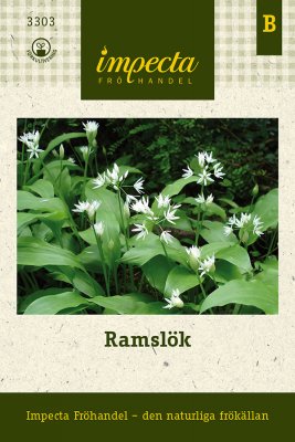 Ramslök