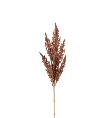 Pampasgräs Brun 80cm