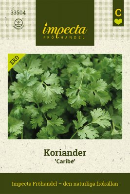 Koriander 'Caribe', Ekologisk