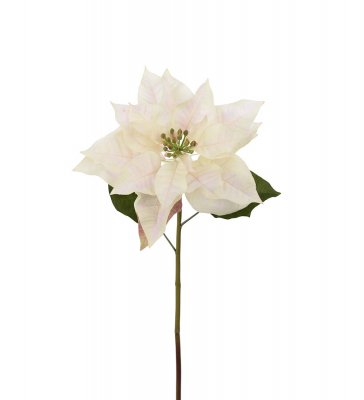 Julstjärna Cream 70cm, Konstgjord
