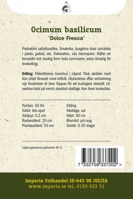 Basilika, Storbladig, 'Dolce Fresca'