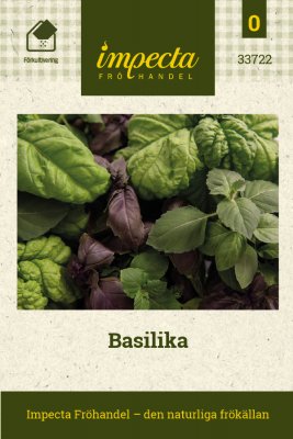 Basilika