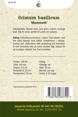 Basilika, Sallat-, 'Mammoth'