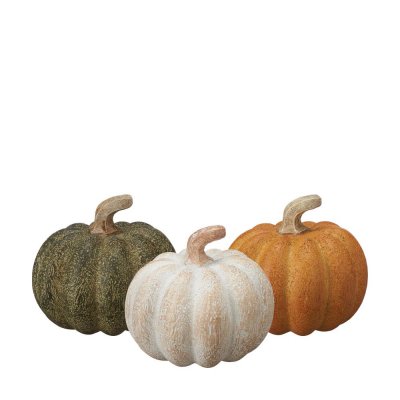 Pumpa 6x7cm Mix 6-pack