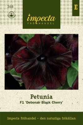 Petunia, F1 'Debonair Black Cherry'