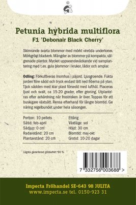 Petunia, F1 'Debonair Black Cherry'