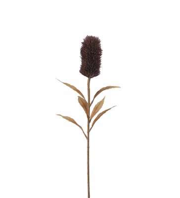 Banksia Burgundy 75cm, Konstgjord