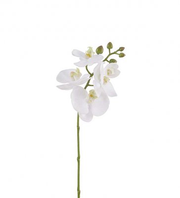 Phalaenopsis Vit 50cm, Konstgjord