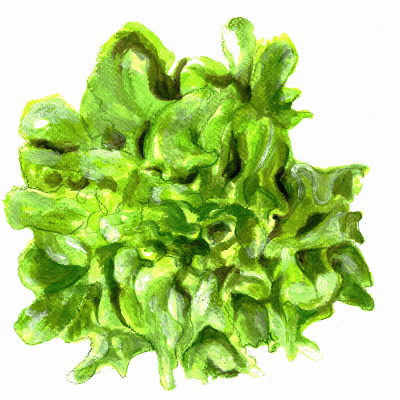 Sallat, Plock-, Salad Bowl