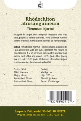 Törnsosas Kjortel