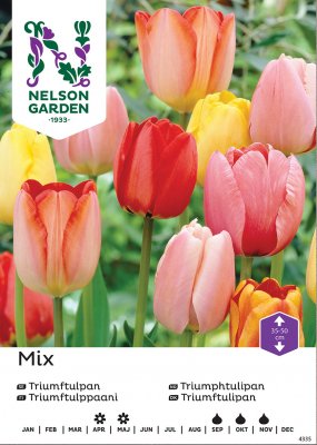 Tulpan Tulipa Mix 15kg