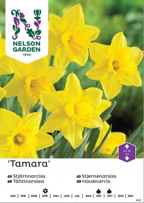Påsklilja Narcissus Tamara 15kg