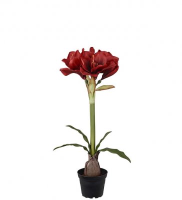 Amaryllis Röd 50cm, Konstgjord