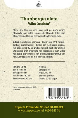 Svartöga, Alba Oculata