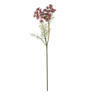 Vildmorot Lila 70cm