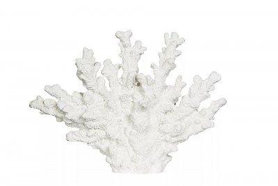 Korall Vit 26x6x18,5 cm