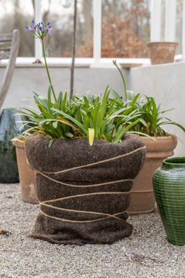 Vinterskydd Ullmatta 150x50cm