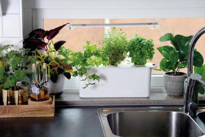 Hydroponisk odling Harvy Startkit Vit Liten