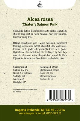 Stockros, Chater´s Salmon Pink