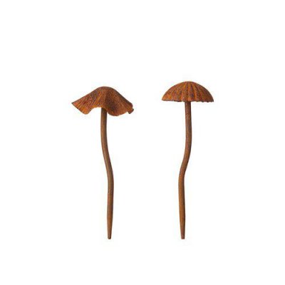 Svamp Sticks Rost 5-6x16cm