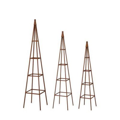 Växtstöd Rost Cynthia