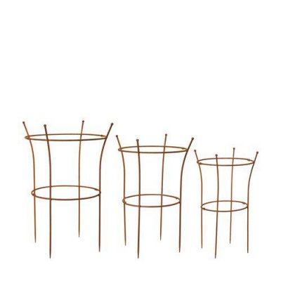 Pionstöd Ethel Rost