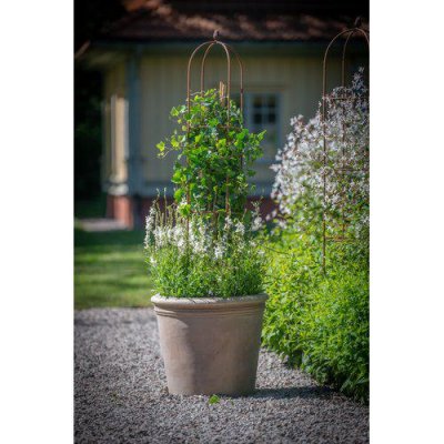 Växtstöd Rost Ethel