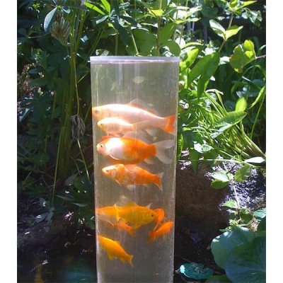 Fisktorn 100cm + sockel 20cm