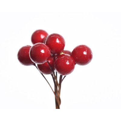 Bärknippe Röd 3x7cm 10-pack