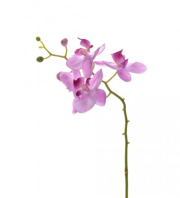 Orkidé Lila 28cm, Konstgjord