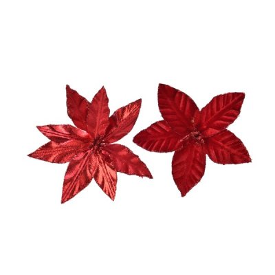 Julstjärneblomma Röd Mix 11x2cm