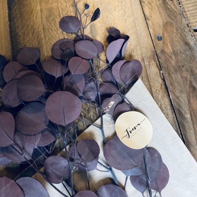 Eucalyptus Röd