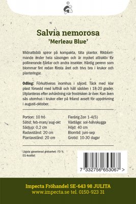 Salvia, Stäpp-, 'Merleau Blue'