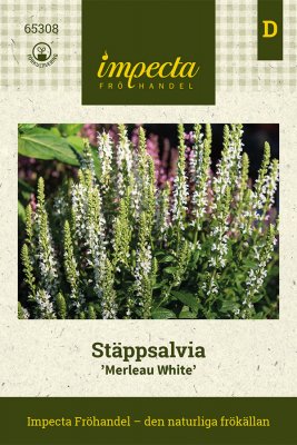 Salvia, Stäpp-, 'Merleau White'