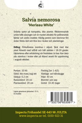 Salvia, Stäpp-, 'Merleau White'