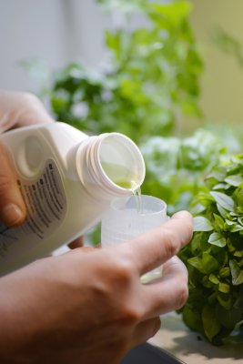 Näring, Hydroponisk, 250 ml