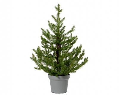 Konstgran Norway Grön 45cm