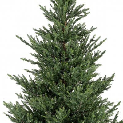 Konstgran / Julgran Norway Spruce 240cm