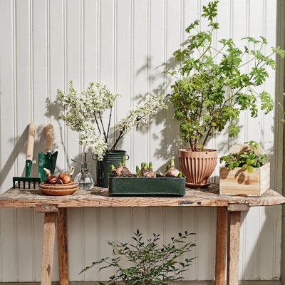 Låda Ingrid Mörkgrön 30x10x8cm