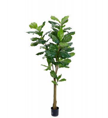 Fiolfikus Grön 150cm, Konstgjord