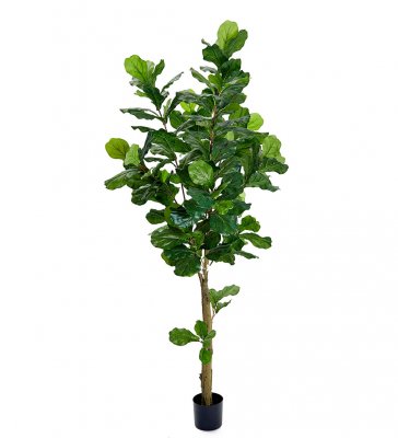 Fiolfikus Grön 210cm, Konstgjord