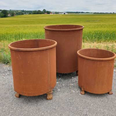 Kruka med Tassar Rost