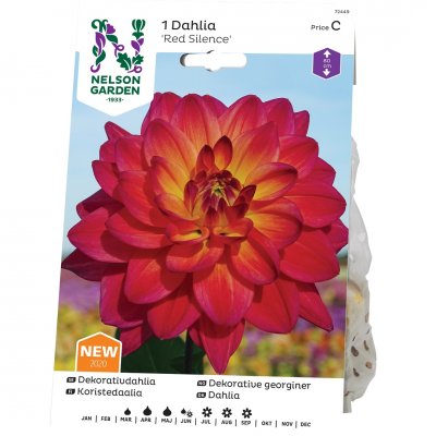 Dahlia Hög Dekorativ Red Silence