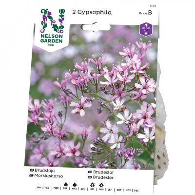 Brudslöja Rosa