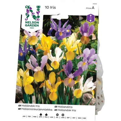 Iris Holländsk Blandade Färger