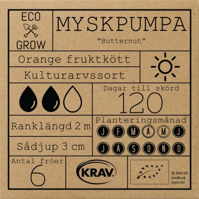 Pumpa, Mysk-, Waltham Butternut, Ekologisk