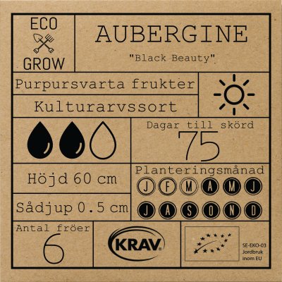 Aubergine, Black Beauty, Ekologisk