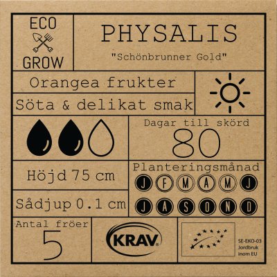 Gyllenbär, Physalis, Schönbrunner Gold, Ekologisk