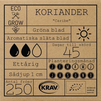 Koriander, Ekologisk
