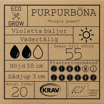 Böna, Purpur-, Purple Queen, Ekologisk
